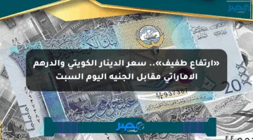«ارتفاع طفيف».. سعر الدينار الكويتي والدرهم الإماراتي مقابل الجنيه اليوم السبت
